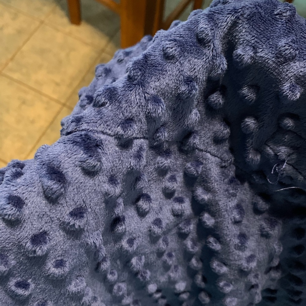Minky Car Seat Cover